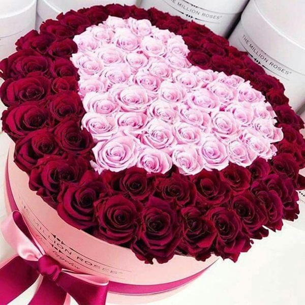 120 Bó hoa hồng đẹp nhất tặng sinh nhật ý nghĩa
