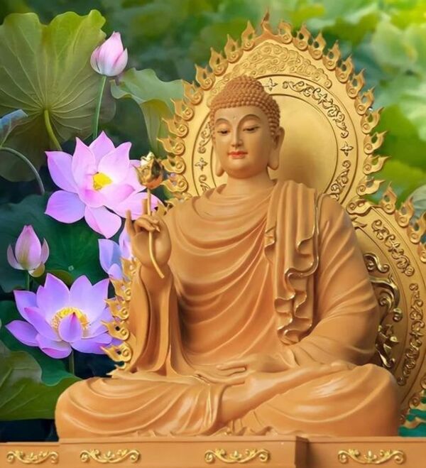 50 Hình Ảnh Hoa Sen Phật Giáo Đẹp Nhất, Ý Nghĩa Nhất